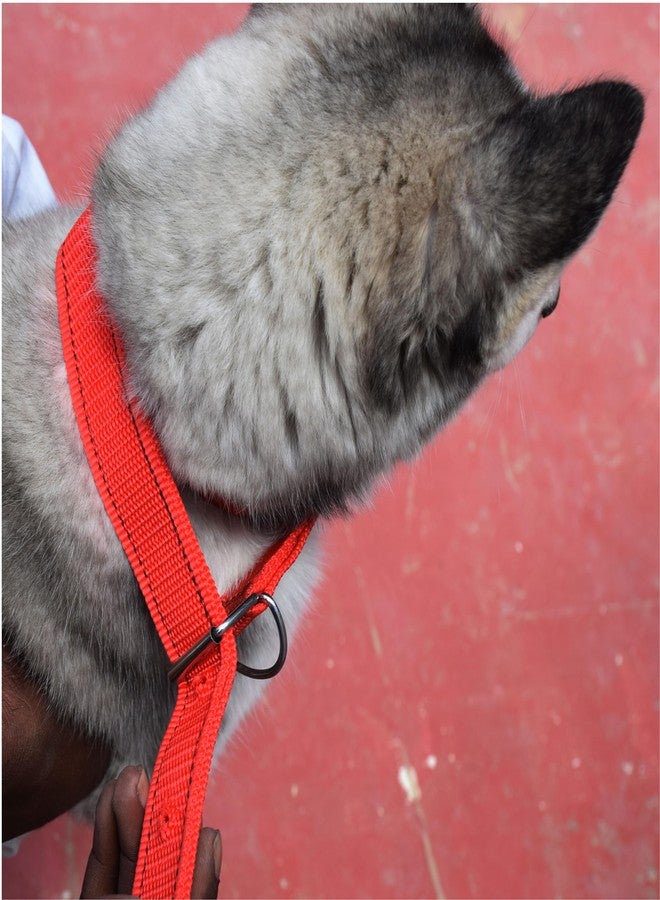 بيور سورس انديا طقم طوق رقبة وحزام ومقود من النايلون المقاوم للماء من بيور سورس إنديا للكلاب متوسطة الحجم أو الجراء الصغيرة (48 × 1 بوصة) (أحمر) - Image 2